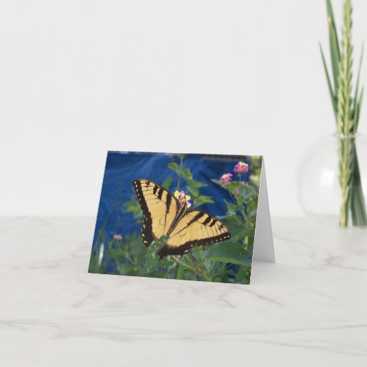 Gele en zwarte zwantstaartvlinder kaart (Voorkant)
