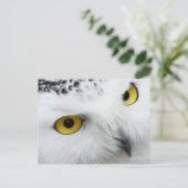 Gele-eogige sneeuwkamper briefkaart (Staand voorkant)