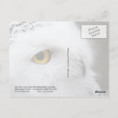 Gele-eogige sneeuwkamper briefkaart (Achterkant)