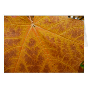 Gele esdoornblad herfst abstracte natuur