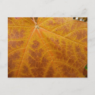 Gele esdoornblad herfst abstracte natuur briefkaart