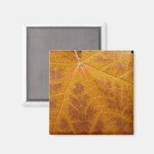 Gele esdoornblad herfst abstracte natuur magneet (Voorkant / Achterkant)