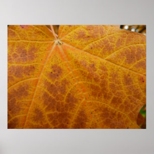 Gele esdoornblad herfst abstracte natuur poster