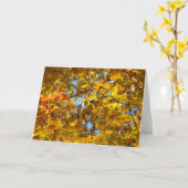 Gele esdoornbladeren en blauwe lucht kaart (Gele Bloem)