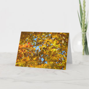 Gele esdoornbladeren en blauwe lucht kaart