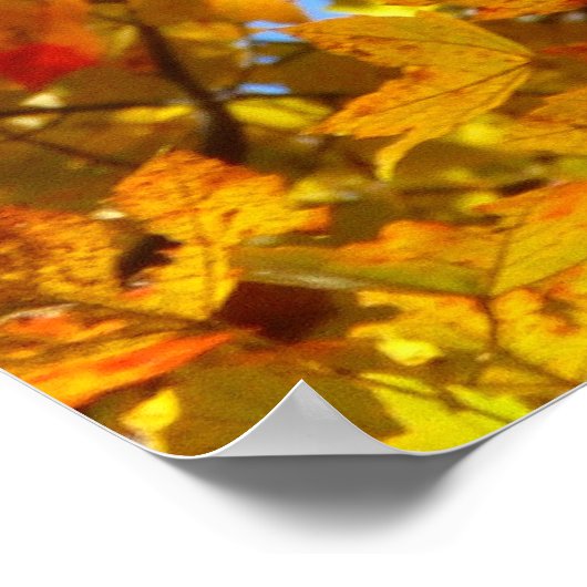 Gele esdoornbladeren en blauwe lucht poster (Hoek)