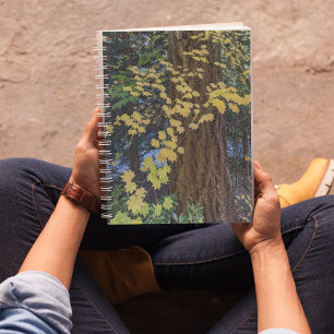 Gele esdoornbladeren en Douglasspar Notitieboek