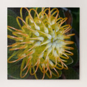 Gele exotische bloem speldenkussen Protea Legpuzzel (Horizontaal)