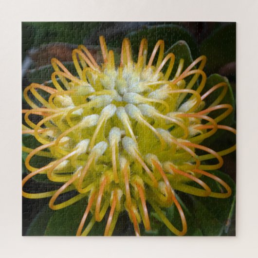 Gele exotische bloem speldenkussen Protea Legpuzzel (Verticaal)