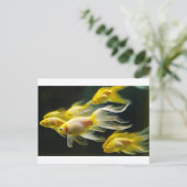 Gele Fancy aquariumGoldvis Briefkaart (Staand voorkant)