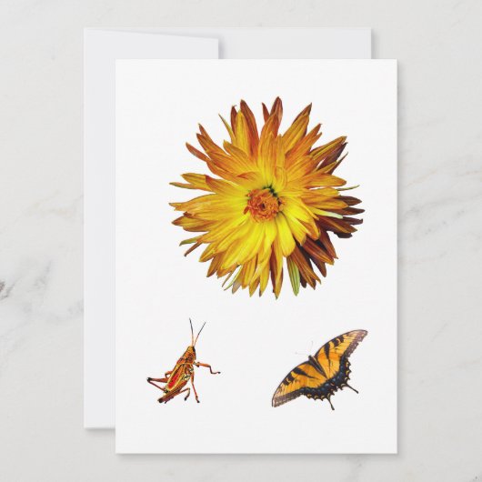 Gele flora en fauna kaart (Voorkant)