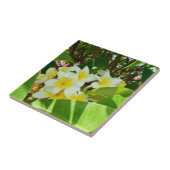Gele frangipanis die op een boom groeit, tegeltje (Zijkant)