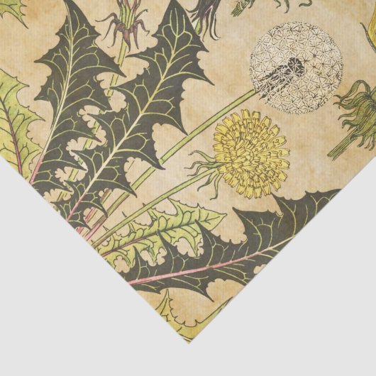 Gele  Franse ontvlechting Tissuepapier (Detail)