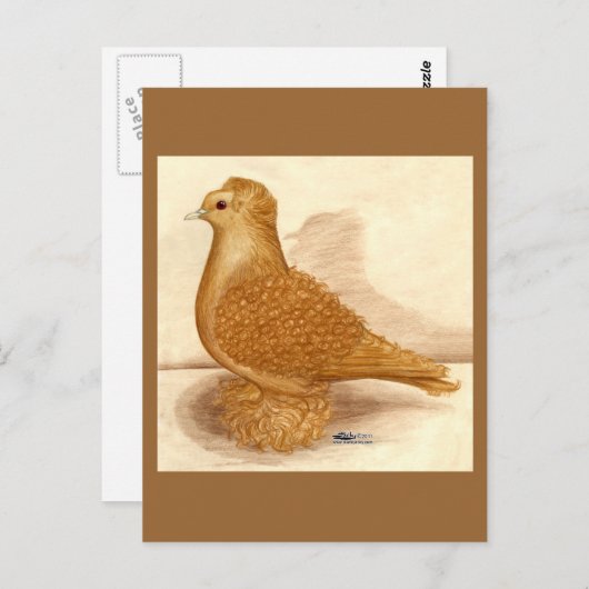 Gele Frillback Pigeon Briefkaart (Voorkant / Achterkant)