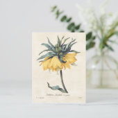 Gele Fritillaria Botanisch Briefkaart (Staand voorkant)