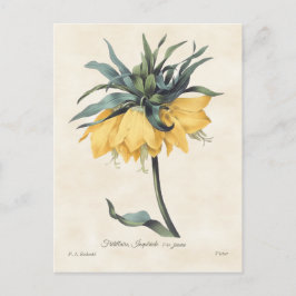 Gele Fritillaria Botanisch Briefkaart