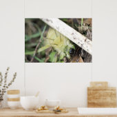 Gele fuzzy poster (Keuken)