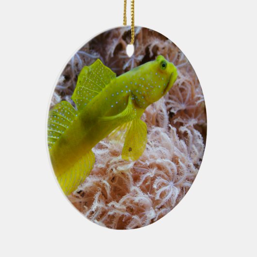 Gele garnaal keramisch ornament (Rechts)