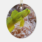 Gele garnaal keramisch ornament (Links)