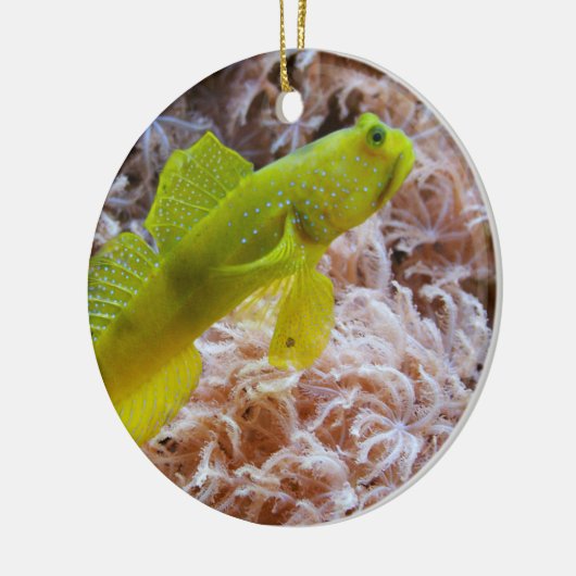 Gele garnaal keramisch ornament (Links)