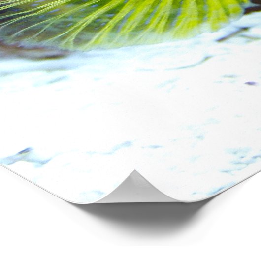 Gele garnaal poster (Hoek)