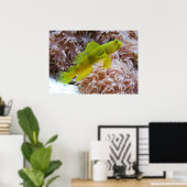 Gele garnaal poster (Thuiskantoor)