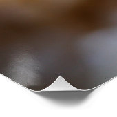 Gele garnaal poster (Hoek)