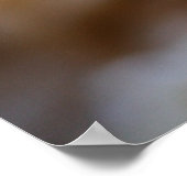 Gele garnaal poster (Hoek)