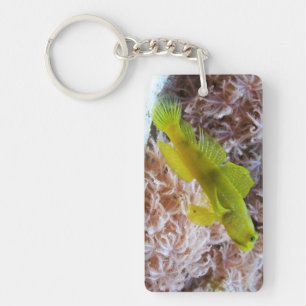 Gele garnaal sleutelhanger