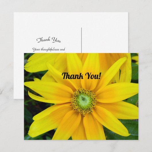 Gele Gazania bedankkaart Briefkaart (Voorkant / Achterkant)