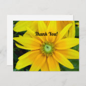 Gele Gazania Dank Je Kaart (Voorkant / Achterkant)