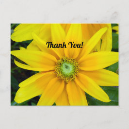 Gele Gazania Dank Je Kaartje Briefkaart