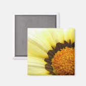 Gele Gazania Magnet (Voorkant / Achterkant)