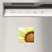 Gele Gazania Magnet (Insitu (Vaatwasser))