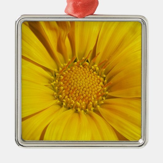 Gele Gazania Metalen Ornament (Voorkant)