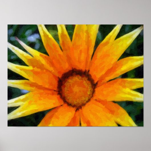 Gele gazania poster (Voorkant)