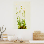 Gele geelgrijs poster (Keuken)