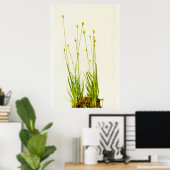 Gele geelgrijs poster (Thuiskantoor)