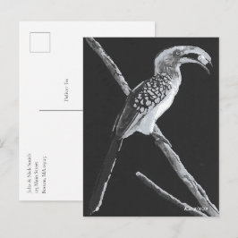 Gele gefactureerde hornbill, Kalahari Animal Briefkaart