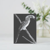 Gele gefactureerde hornbill, Kalahari Animal Briefkaart (Staand voorkant)