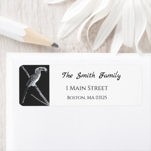 Gele gefactureerde hornbill, Kalahari Animal Etiket (Insitu)