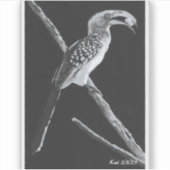Gele gefactureerde hornbill, Kalahari Animal Sticker (Voorkant)