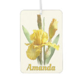 Gele gekaarde irisventilator, speciaal aangepast luchtverfrisser (Voorkant)