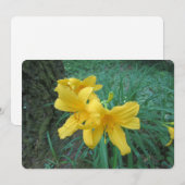 Gele gele gelilies feestdagenkaart (Voorkant / Achterkant)