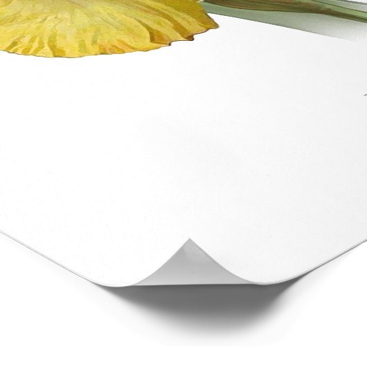 Gele gele I ris Original Art Print (Hoek)