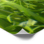 Gele gele rode tulpen poster (Hoek)