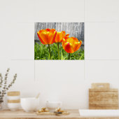 Gele gele rode tulpen poster (Keuken)