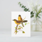 Gele gelooide Laughingthrush Briefkaart (Staand voorkant)