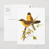 Gele gelooide Laughingthrush Briefkaart (Voorkant / Achterkant)