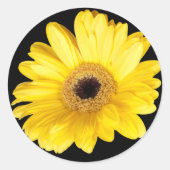 Gele Gerber Daisy Close Foto Ronde Sticker (Voorkant)